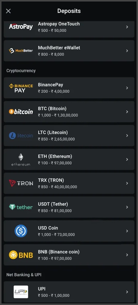 Fast and secure deposit methods at Leon Casino