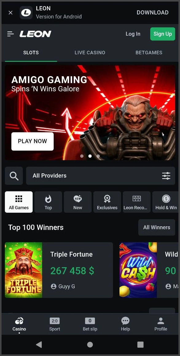 Compact overview of the main sections of Leon Casino