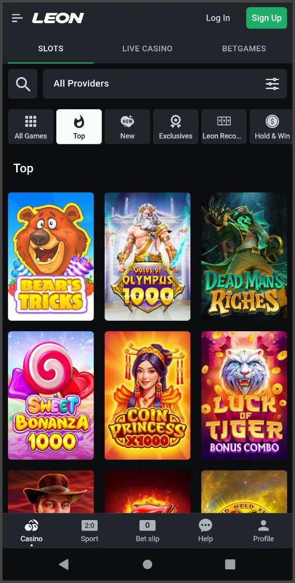 Overview of top slot games at Leon Casino featuring popular titles and vibrant game thumbnails