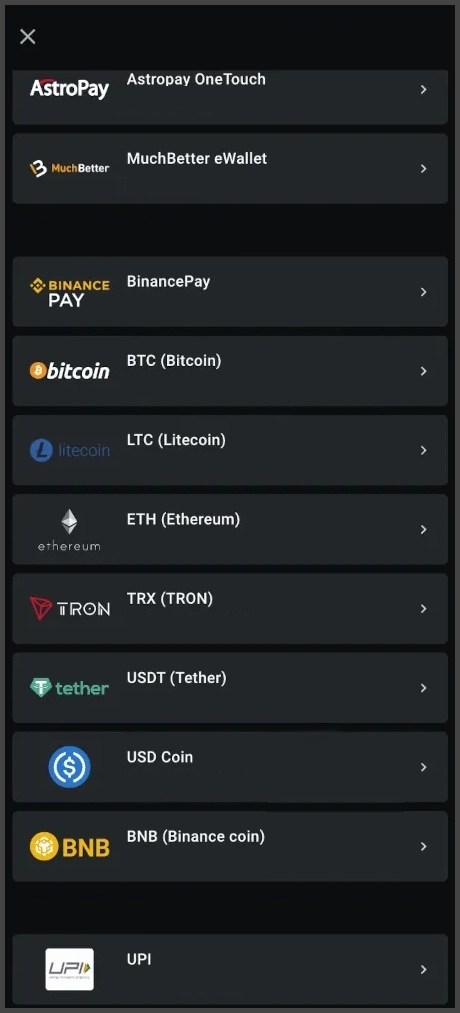 Métodos de depósito rápidos e seguros no Leon Casino