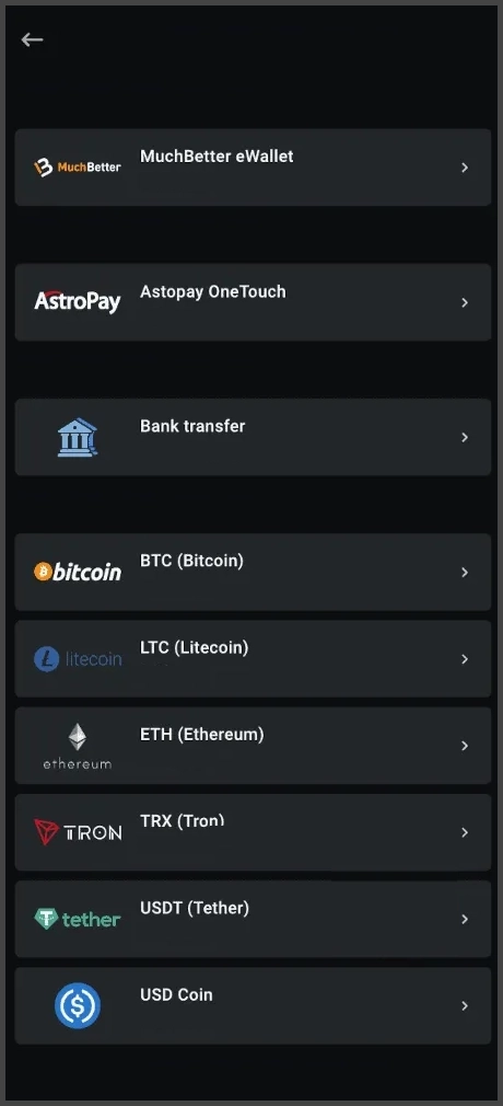 Explicação detalhada das opções de saque no Leon Casino